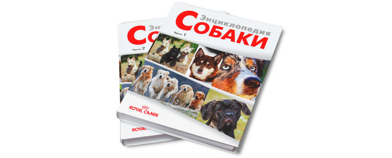 Наши работы: Энциклопедия собаки
