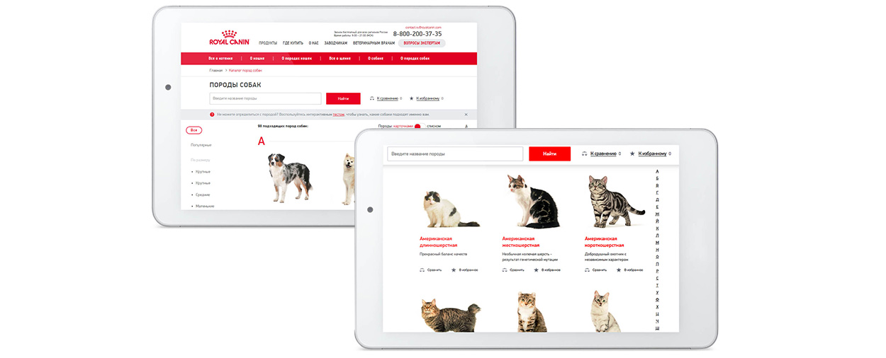Наши работы: сайт для клиента Royal Canin